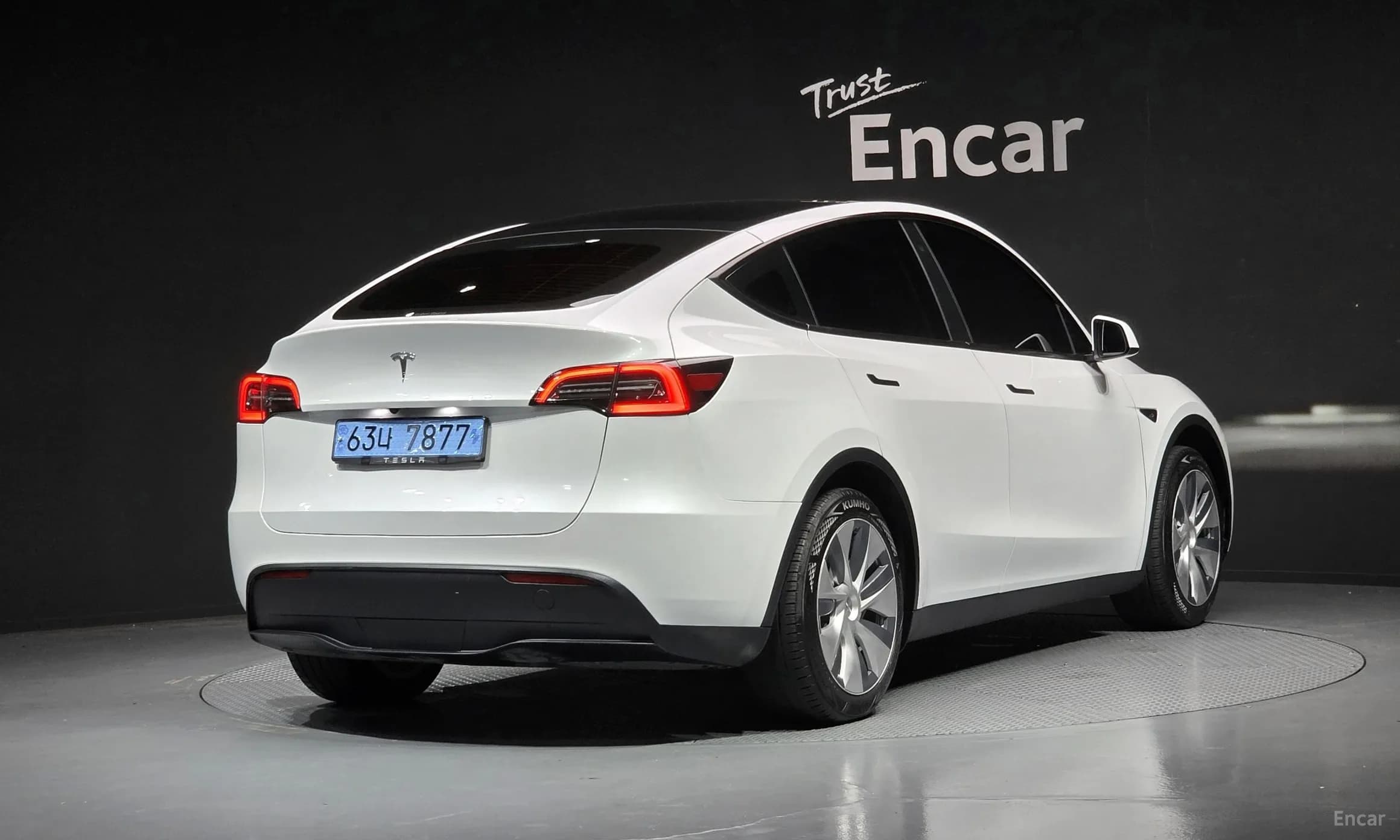 Model Y