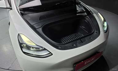 Model Y