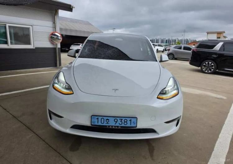 Model Y