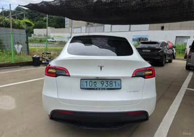 Model Y
