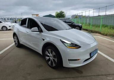 Model Y