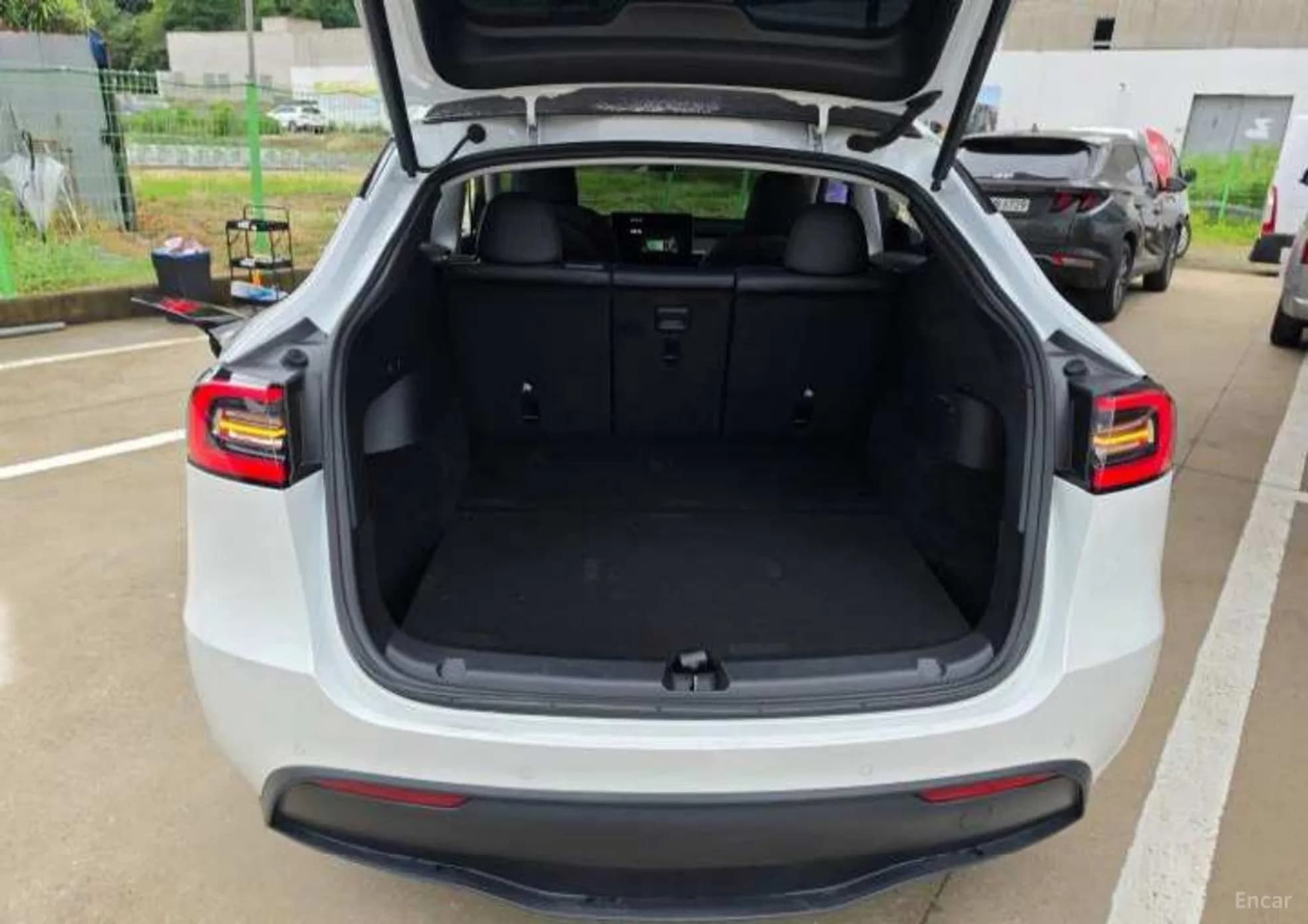 Model Y