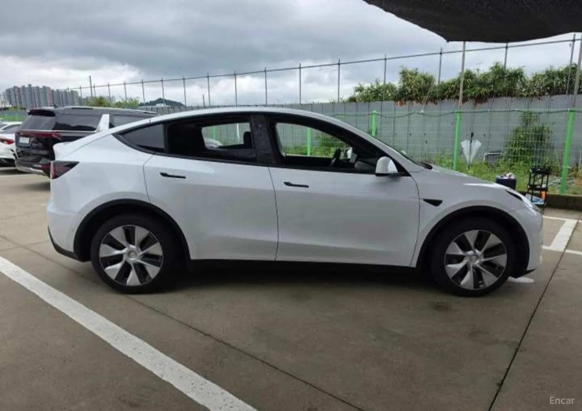 Model Y