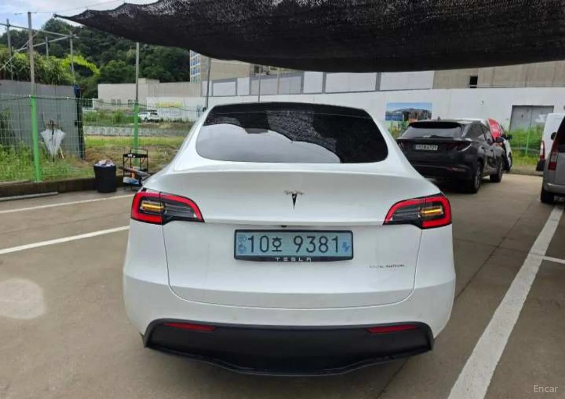 Model Y
