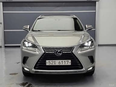 NX300h