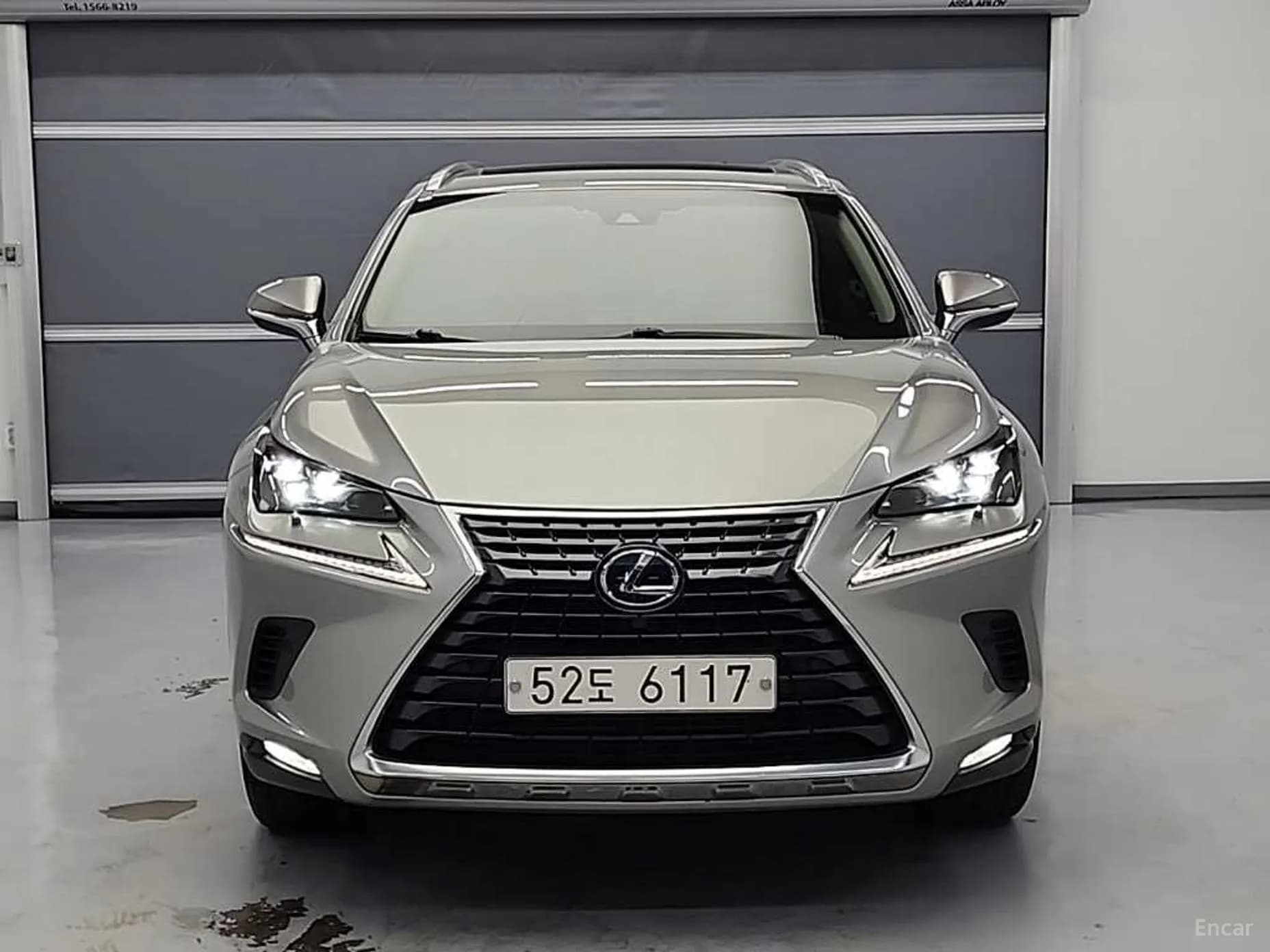 NX300h