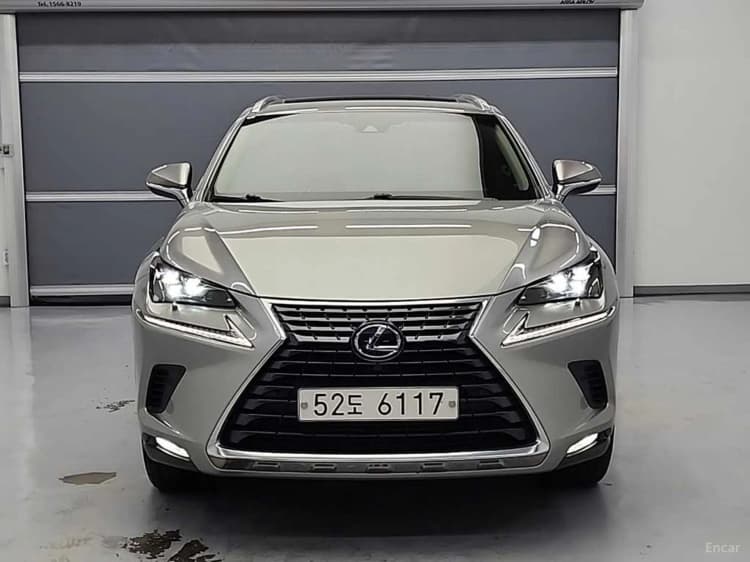 NX300h