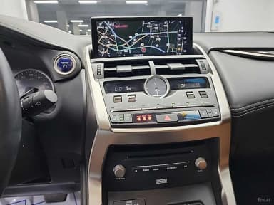 NX300h