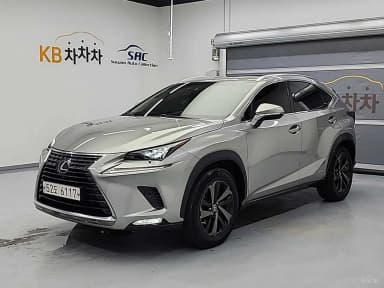 NX300h