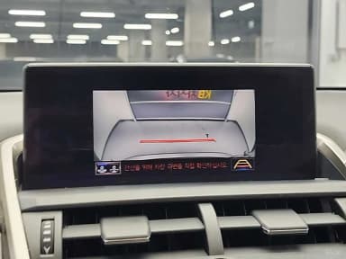 NX300h