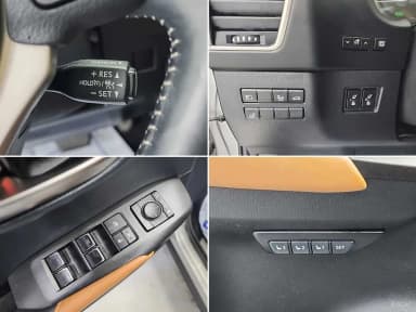NX300h
