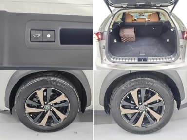 NX300h