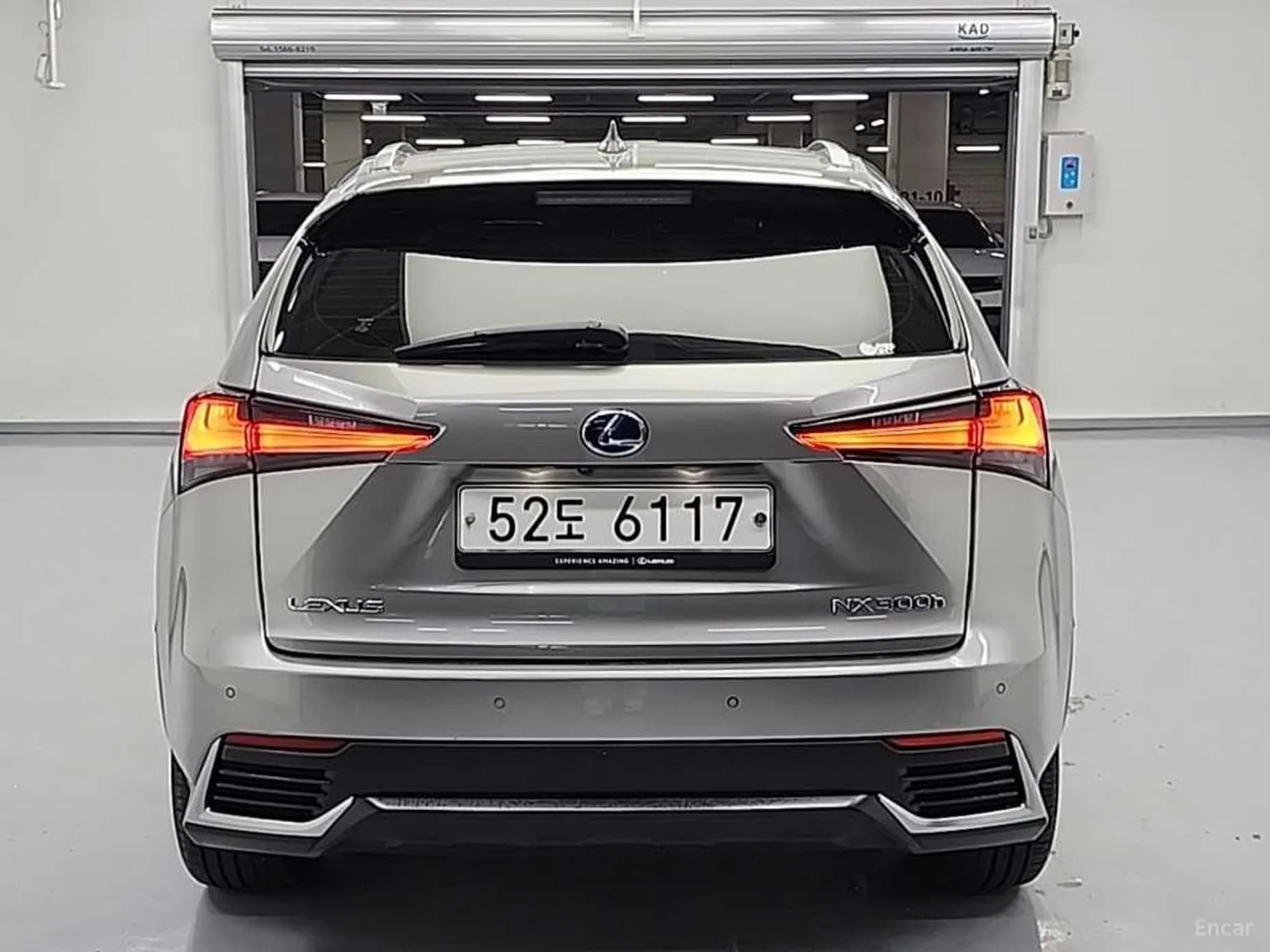 NX300h