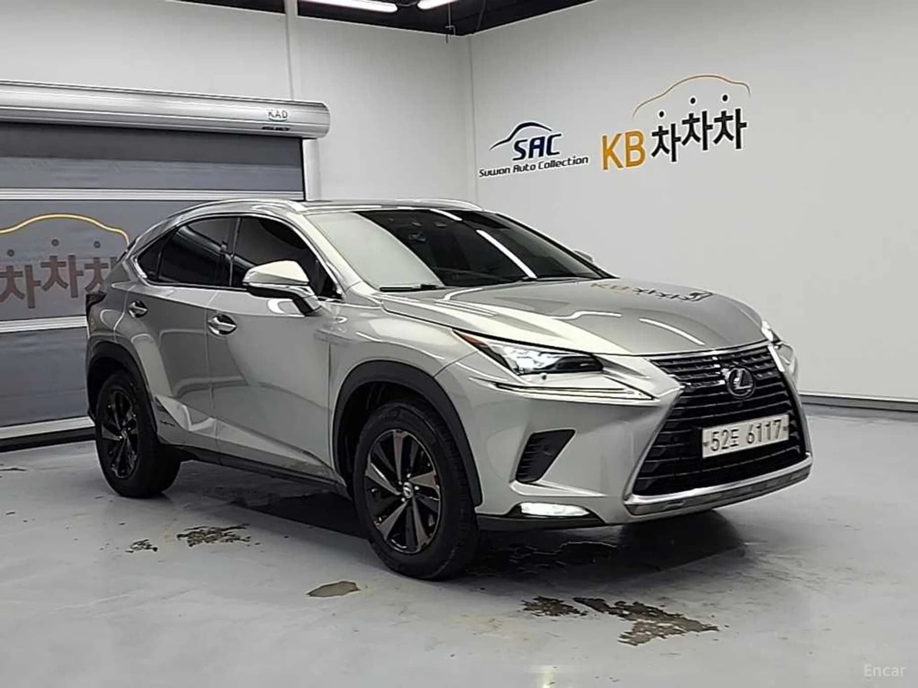 NX300h
