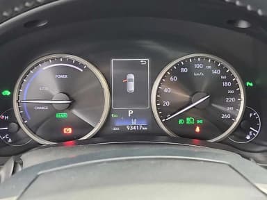 NX300h
