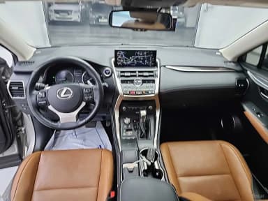 NX300h
