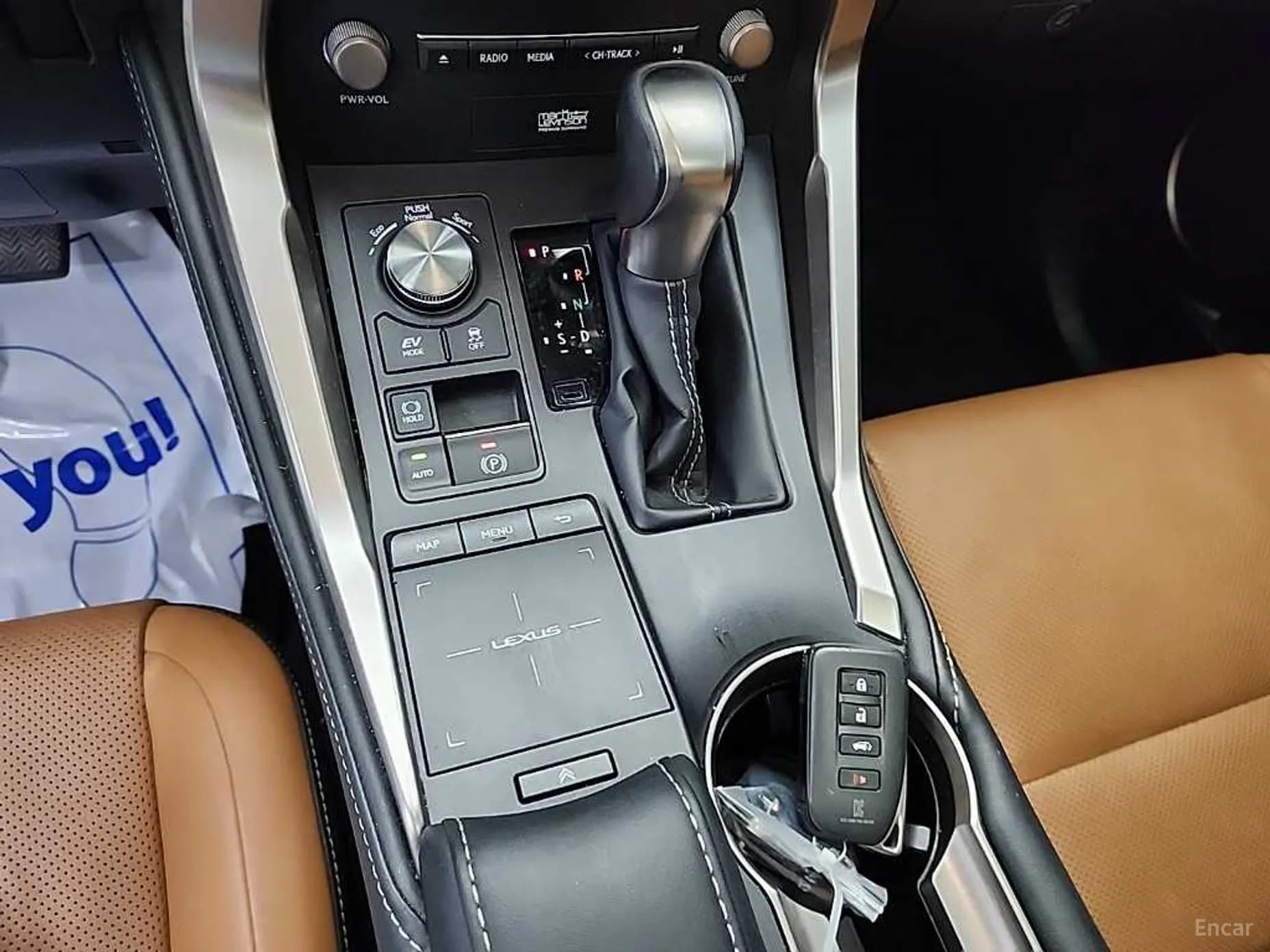 NX300h