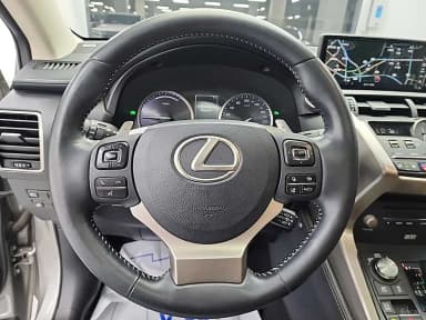 NX300h
