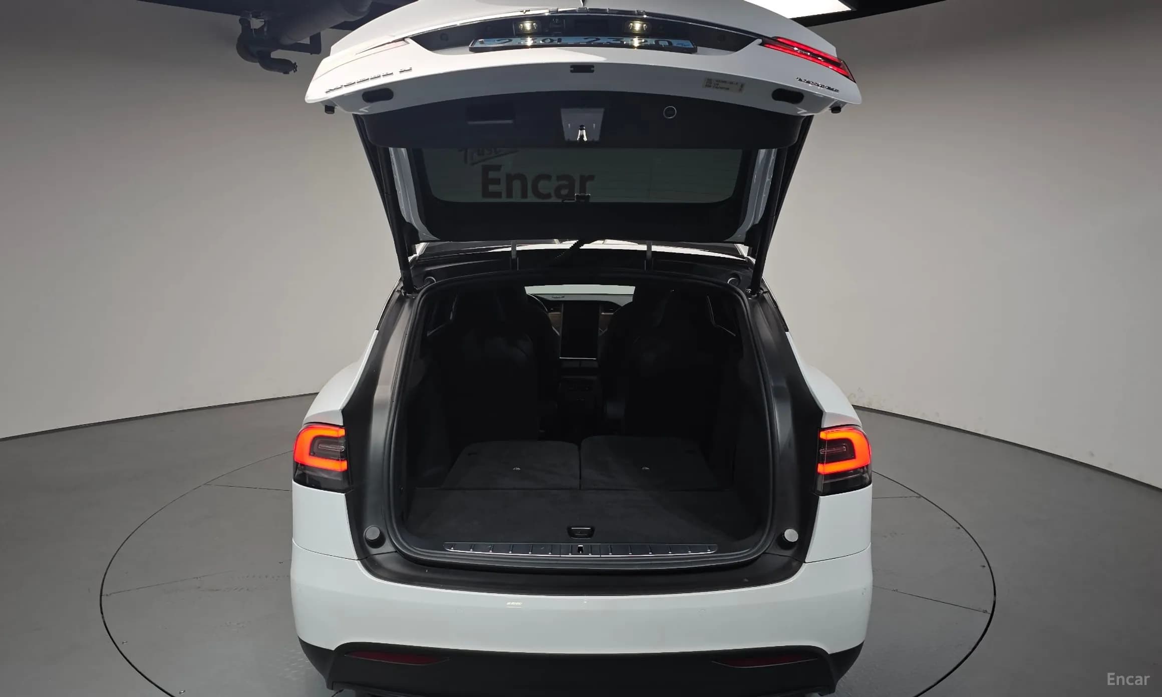 Model X