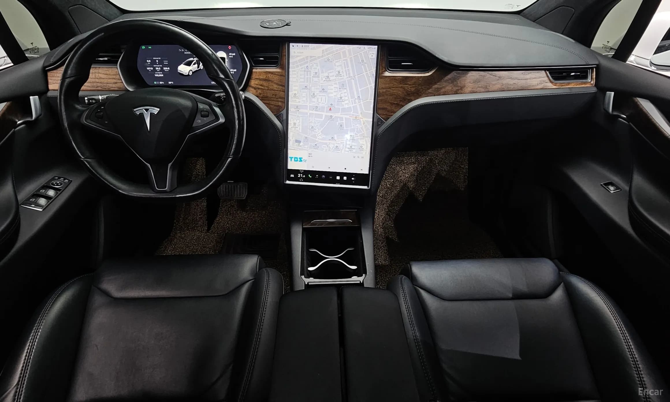 Model X