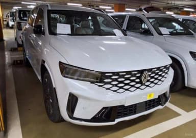 Grang Koleos