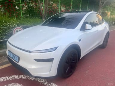 Model Y