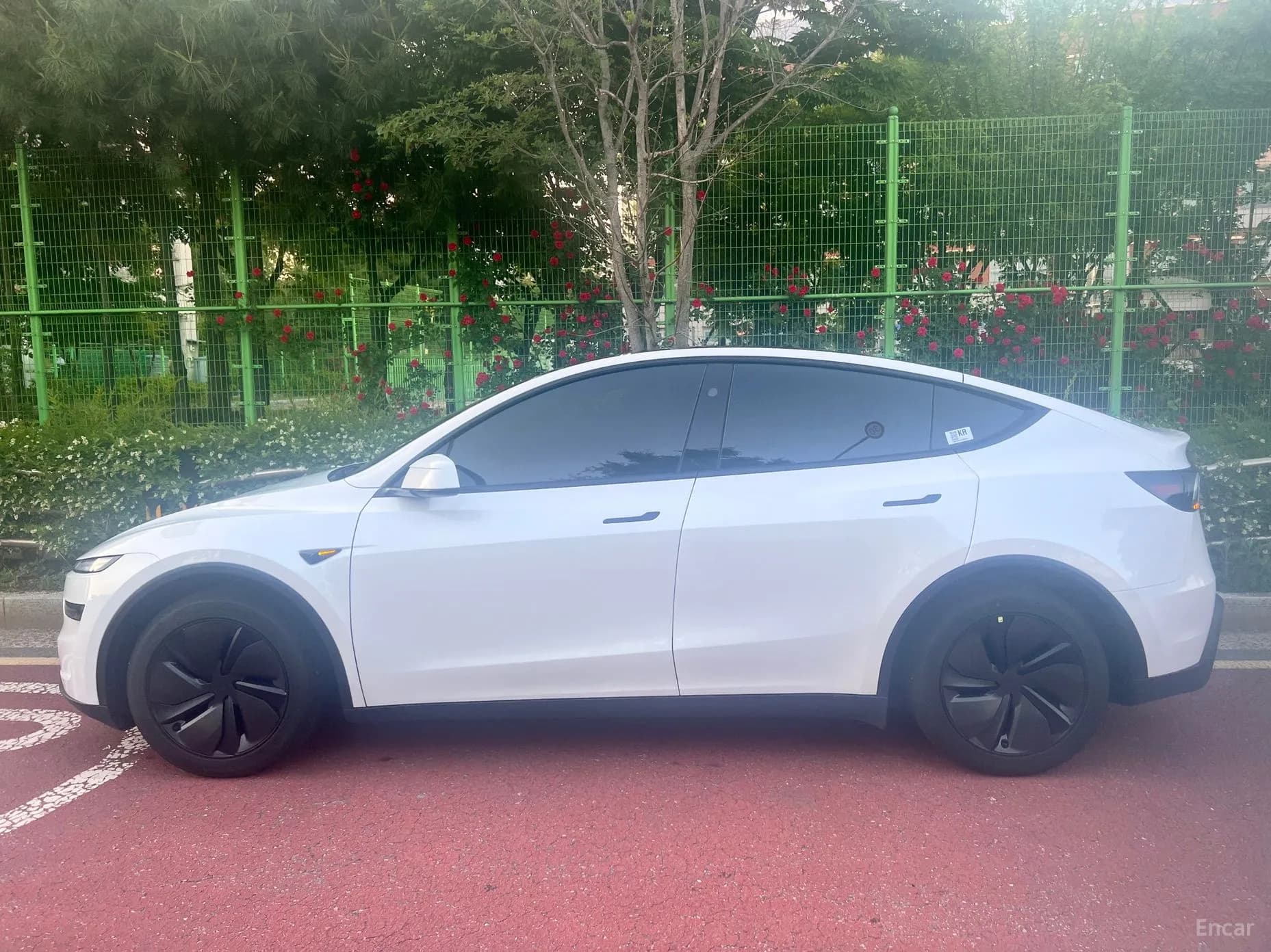 Model Y