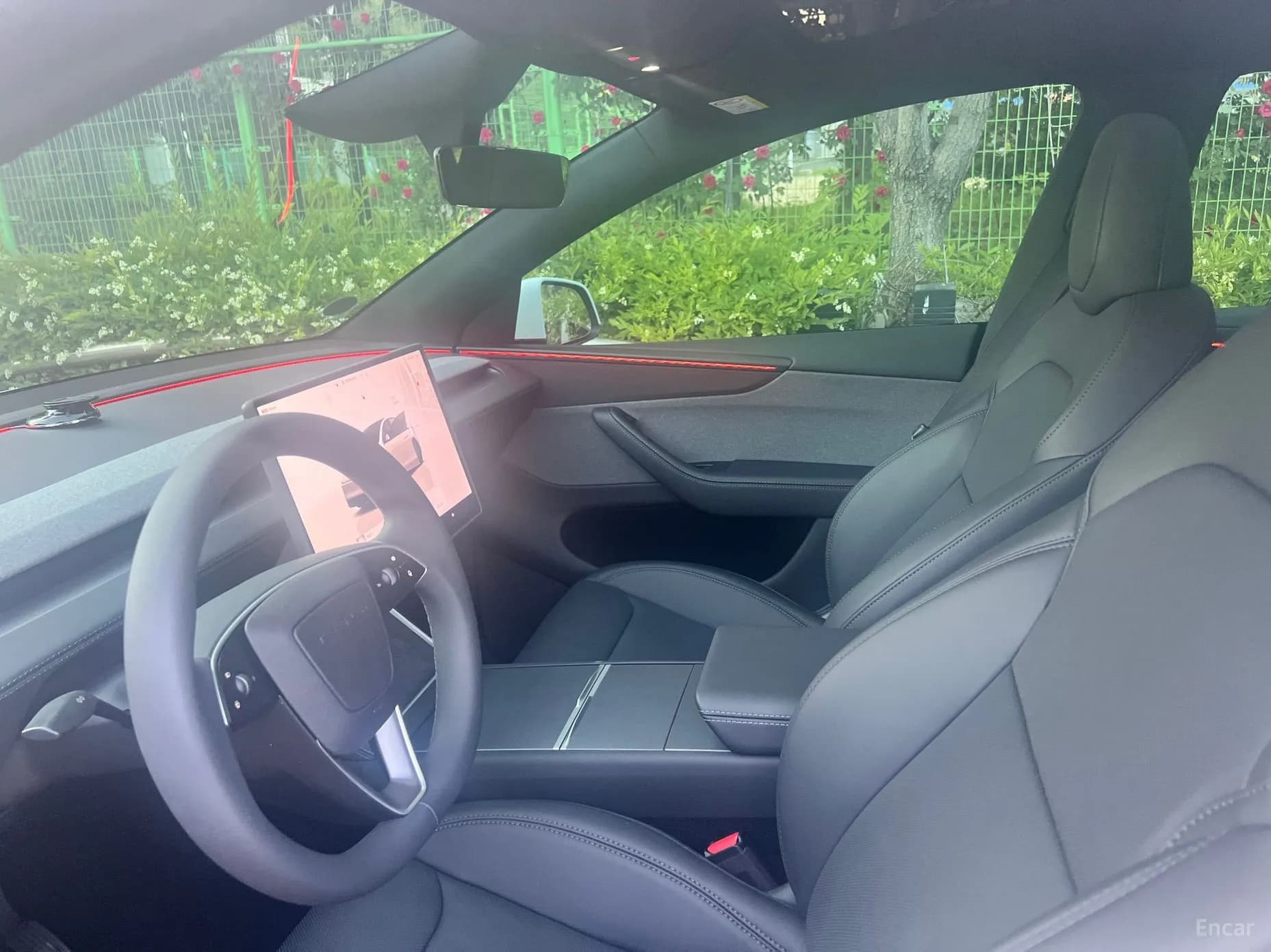 Model Y