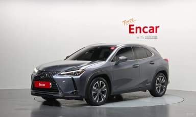 UX250h