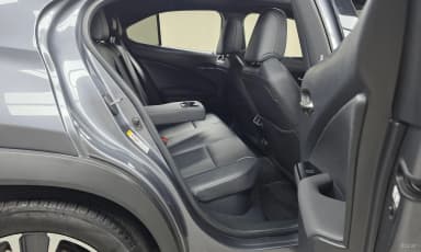 UX250h
