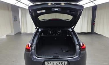 UX250h
