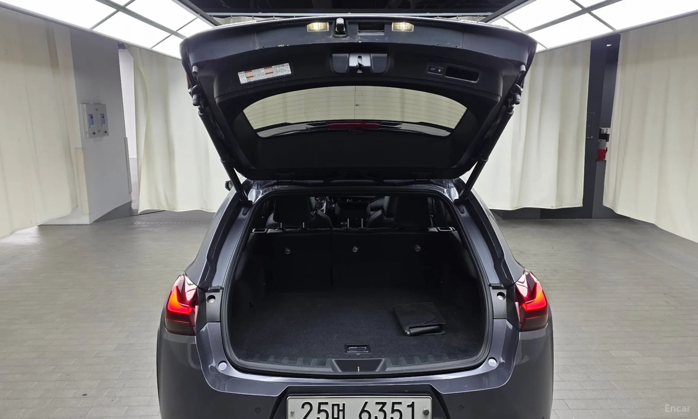 UX250h