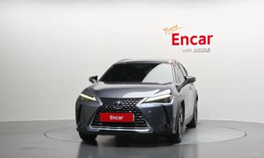 UX250h