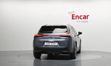 UX250h