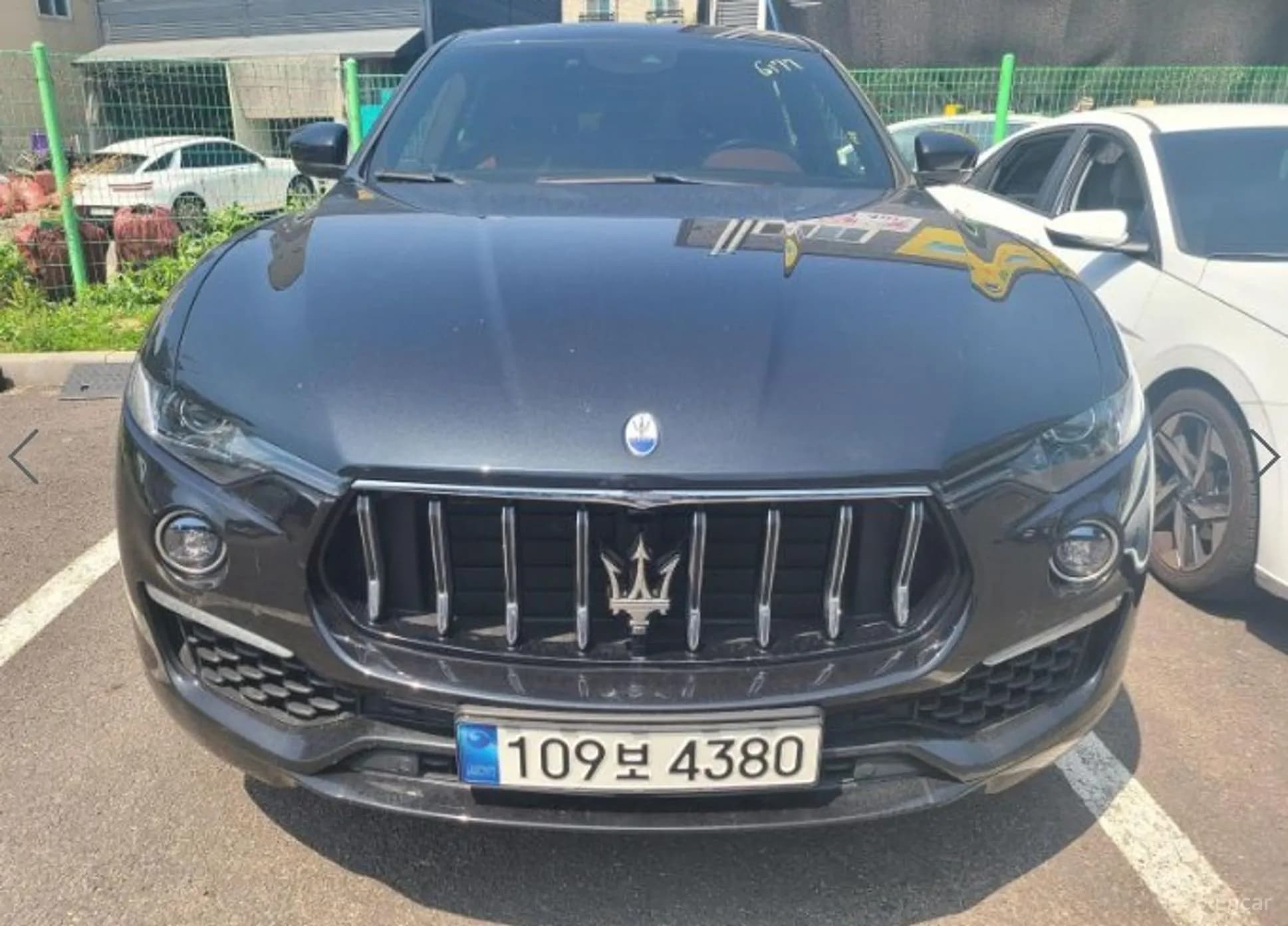 Levante