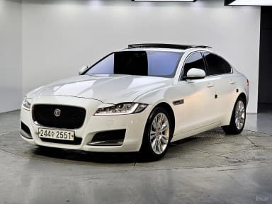 XF (x260)