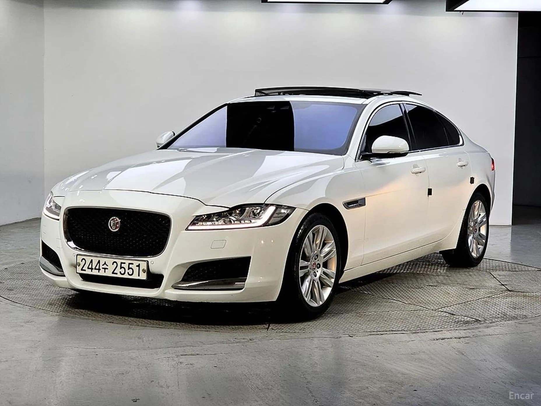 XF (x260)