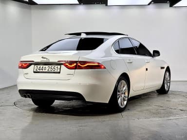 XF (x260)