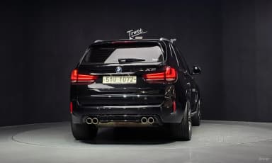 X5 (F15)
