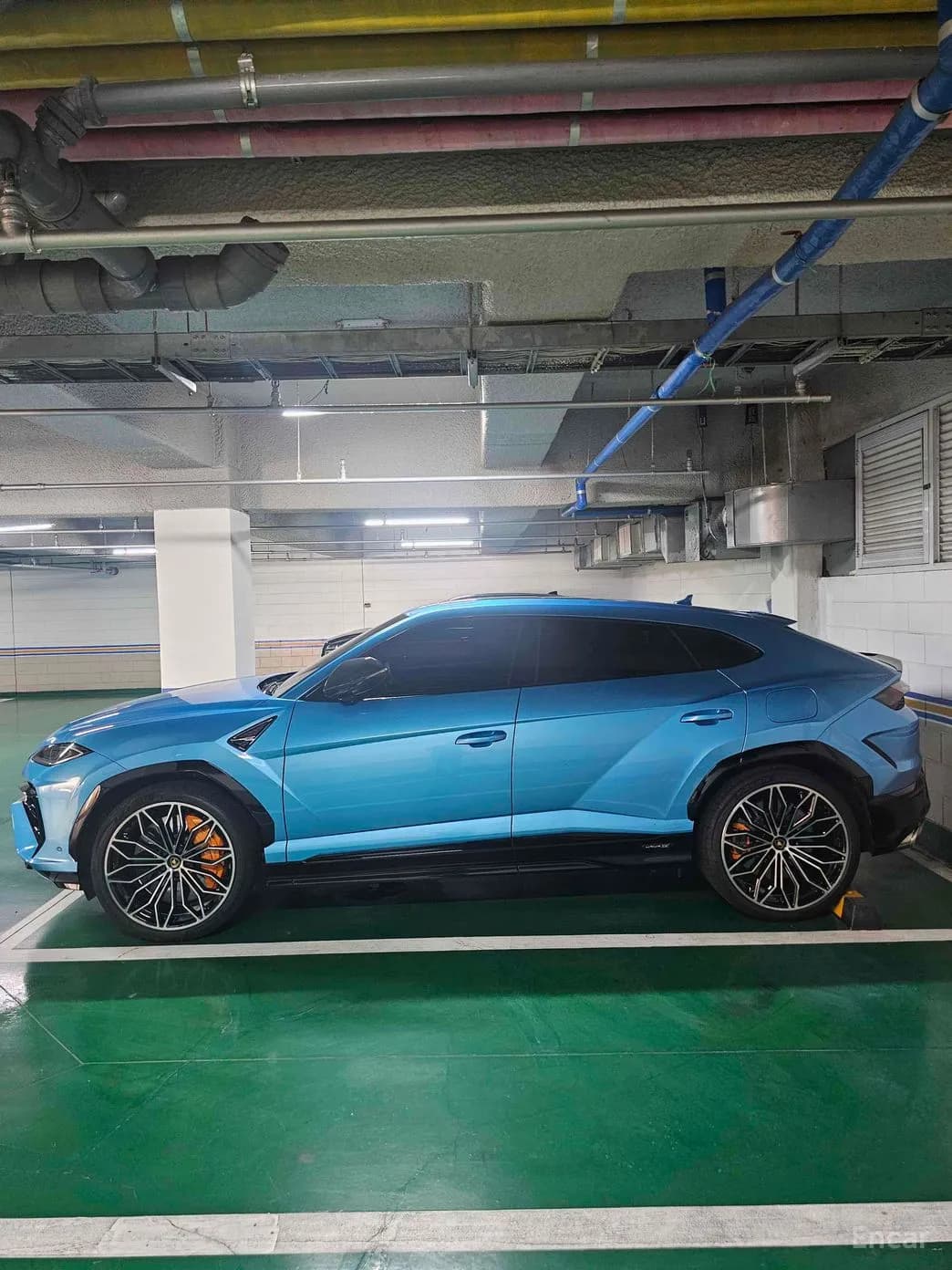 Urus