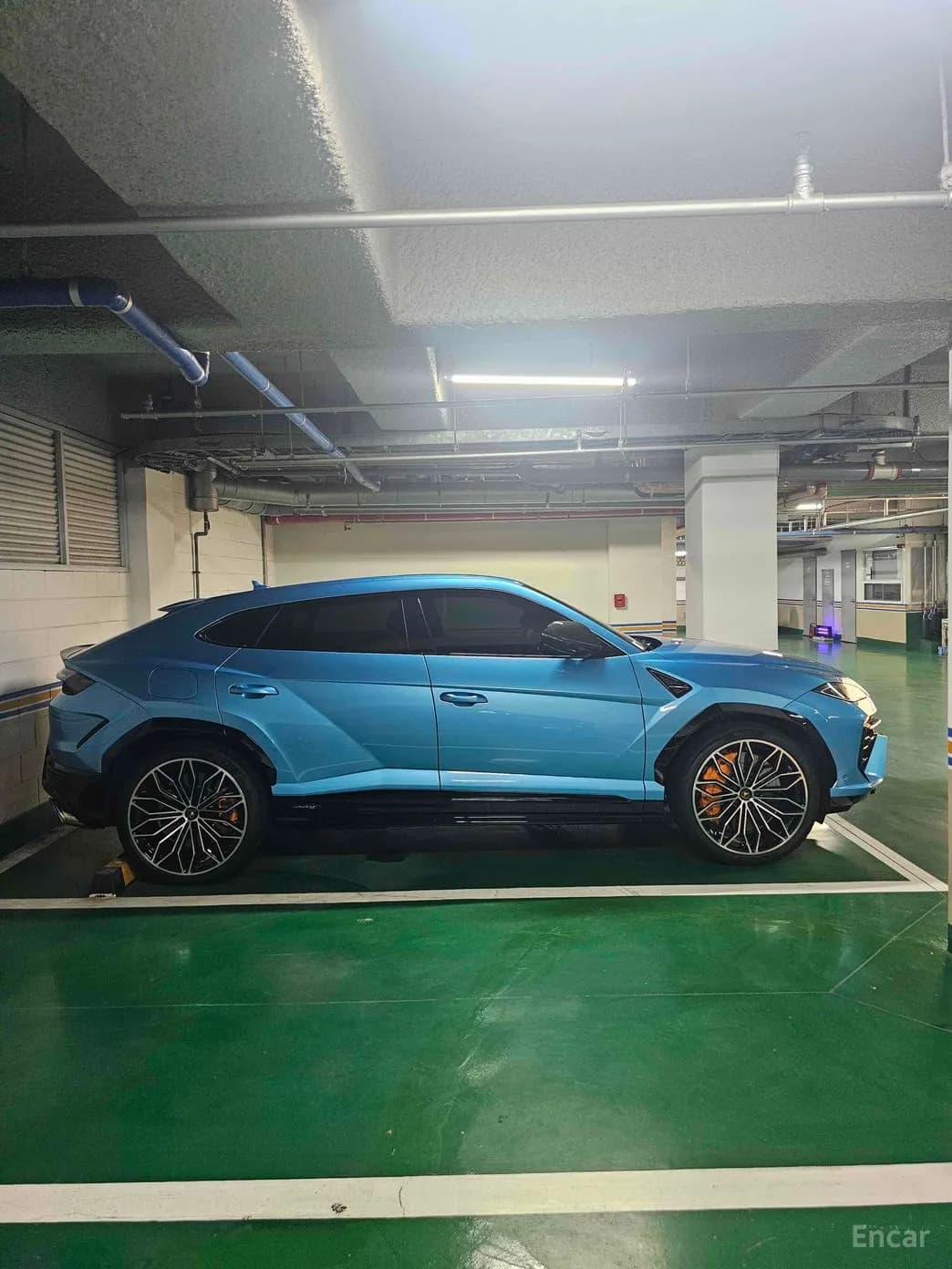 Urus