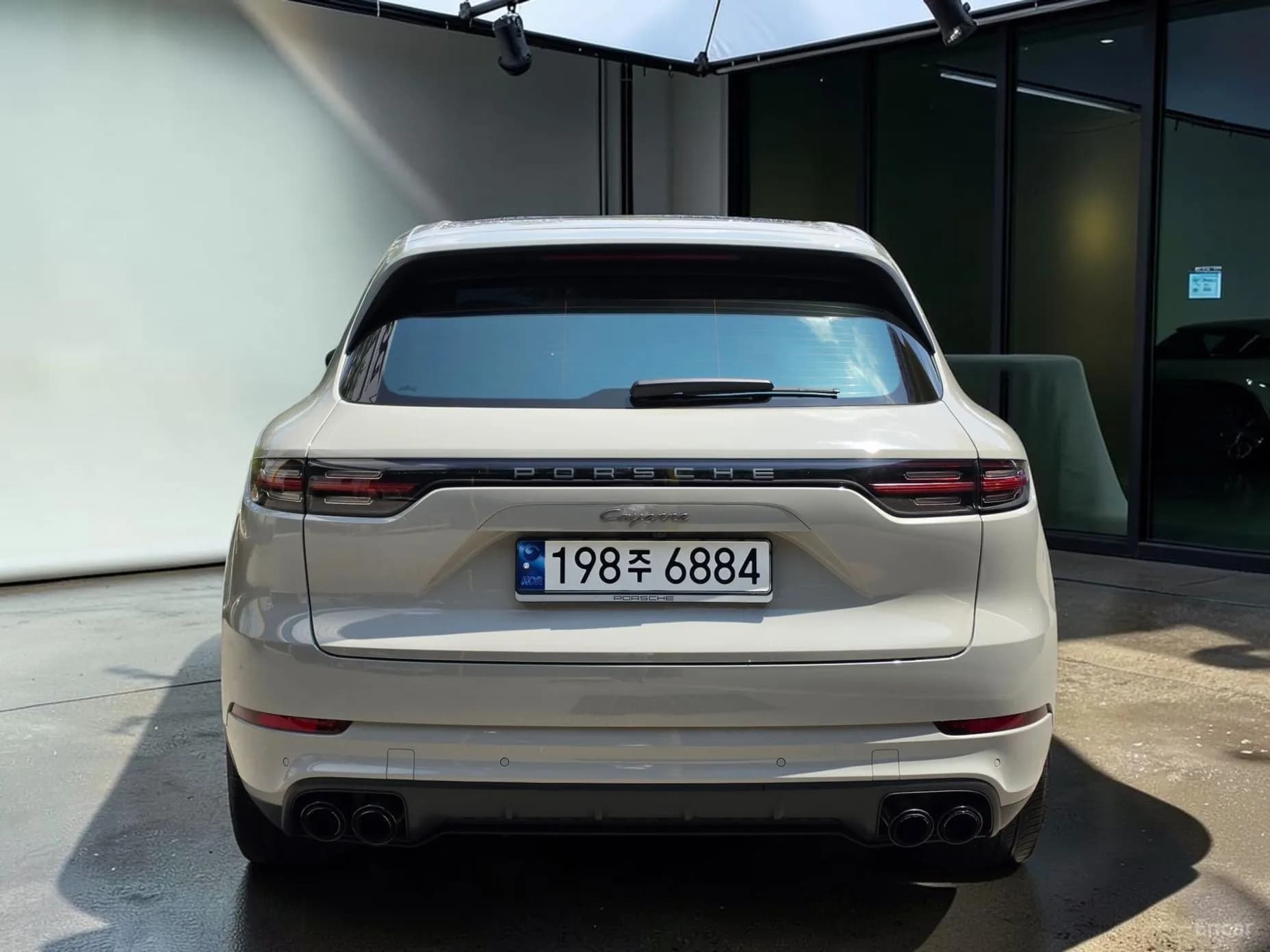 Cayenne (PO536)