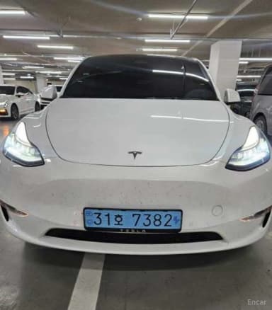 Model Y