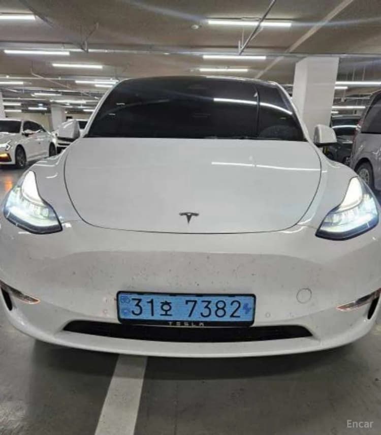 Model Y