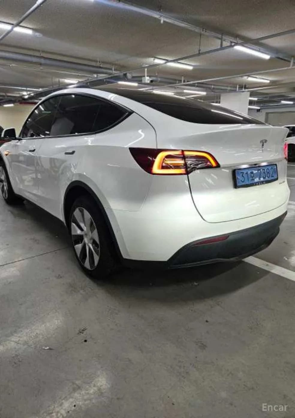 Model Y