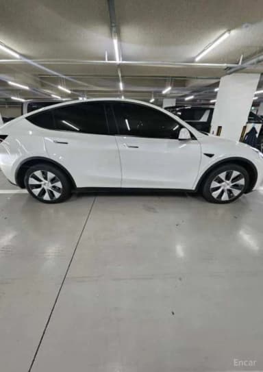 Model Y