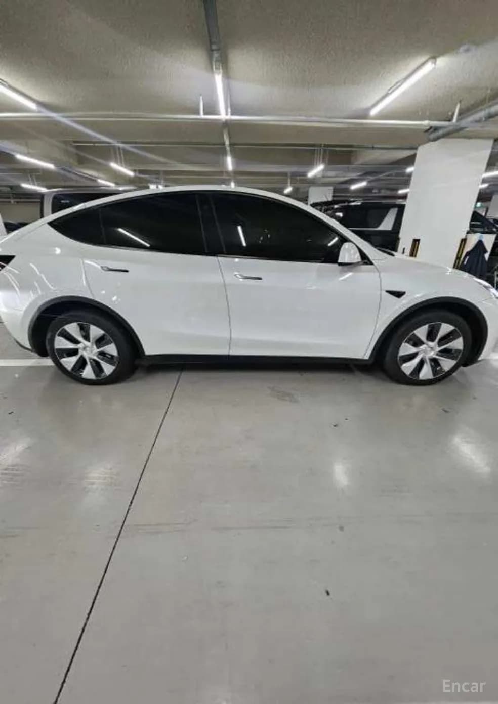 Model Y