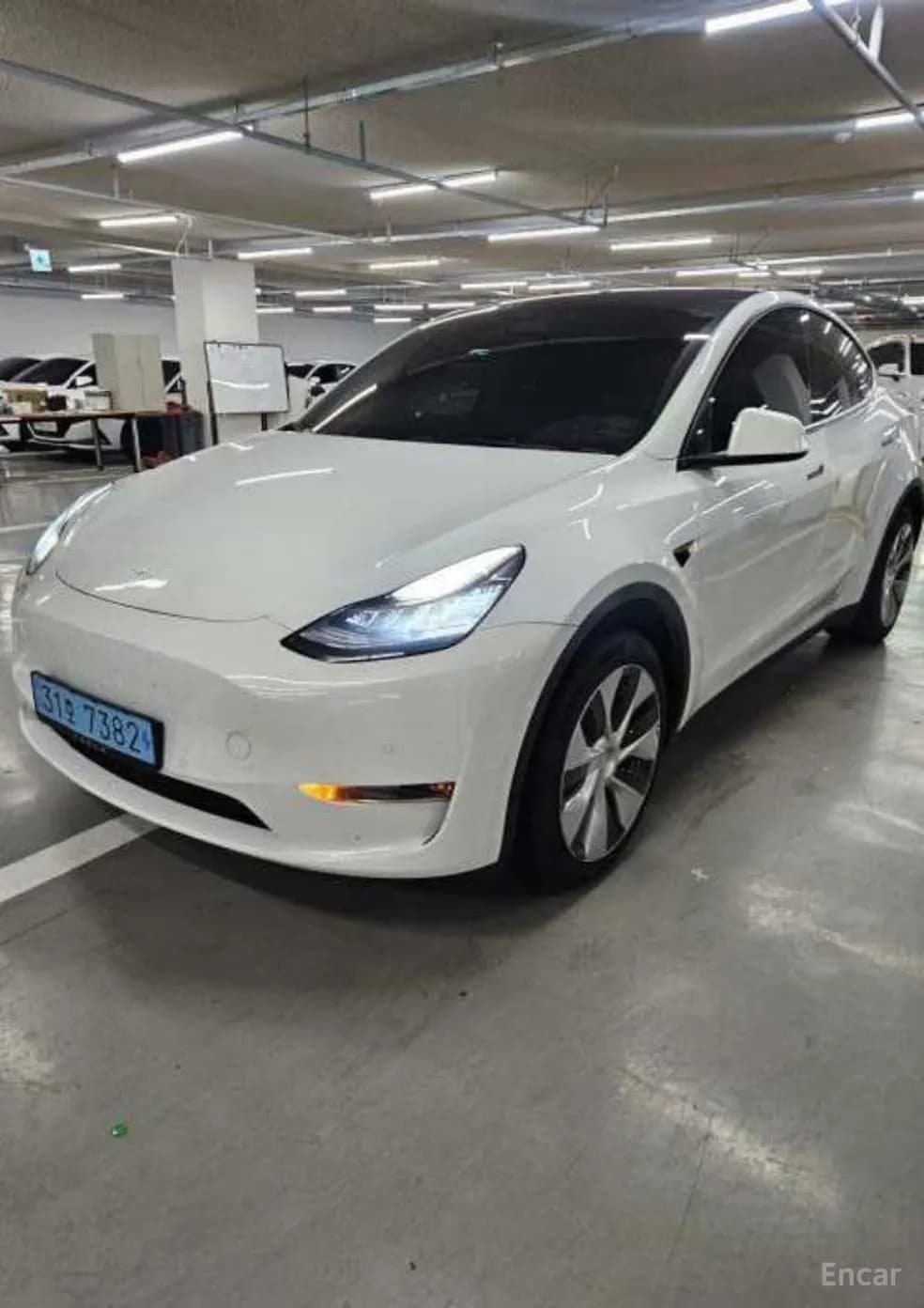 Model Y