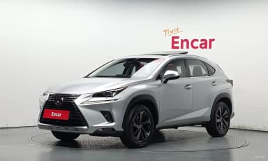 NX300h