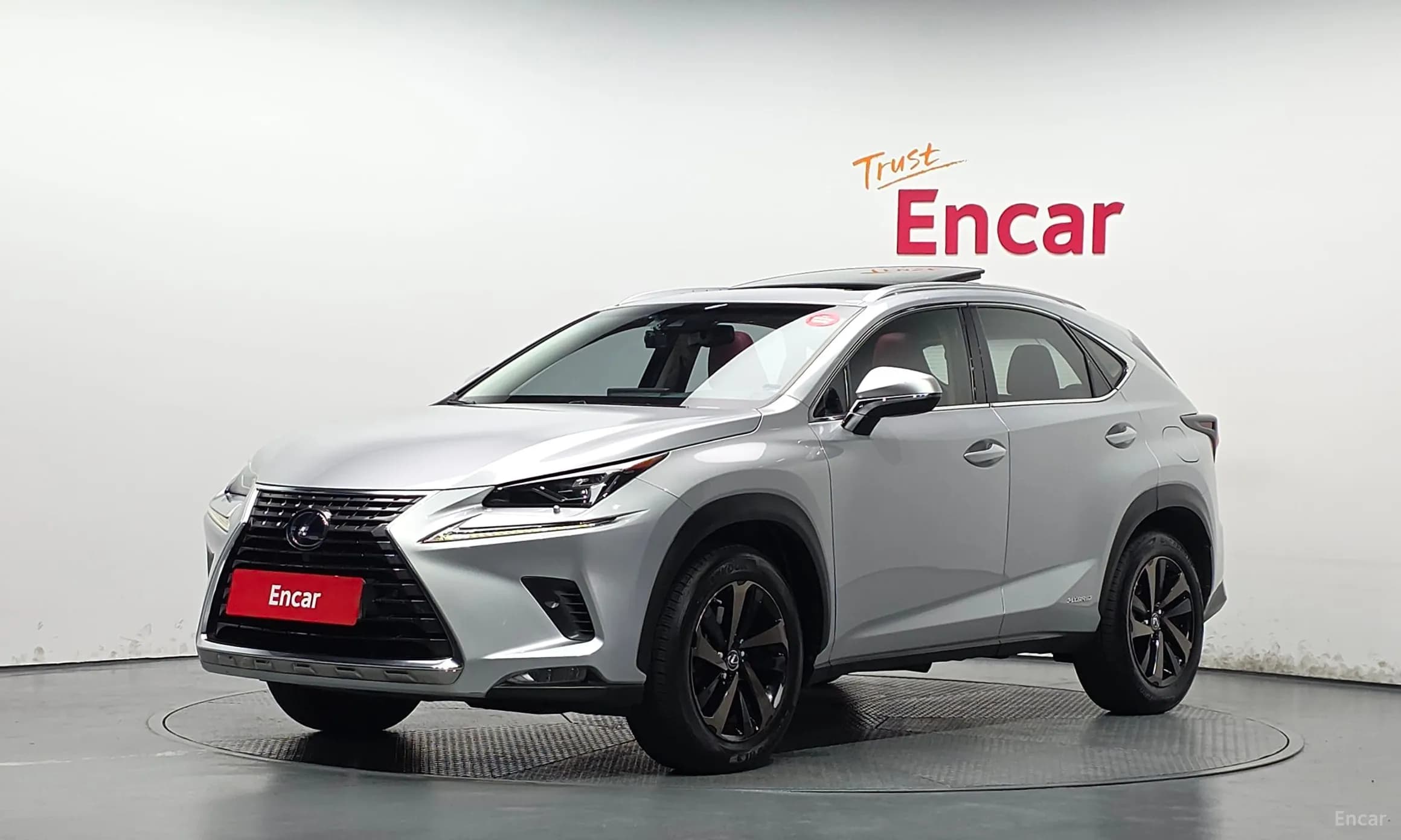 NX300h